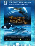 Dauphins et baleines 3D, nomades des mers : Affiche