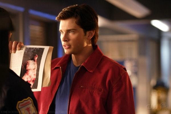 Photo Tom Welling