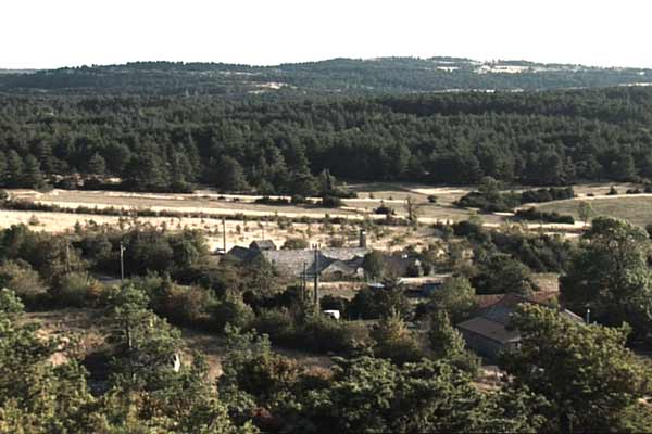 Les Brebis font de la résistance : Photo Catherine Pozzo Di Borgo