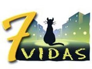 7 Vidas : Affiche