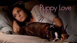 Puppy Love : Affiche