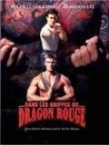 Dans les griffes du dragon rouge : Affiche