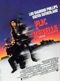 Flic et rebelle : Affiche