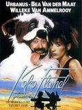 Koko Flanel : Affiche