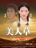 Mei ren cao (the foliage) : Affiche