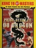 La prise secrète du dragon : Affiche