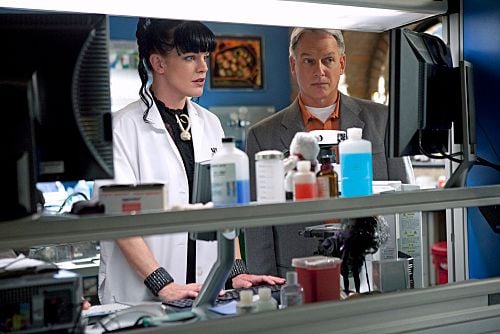 NCIS : Enquêtes spéciales : Photo Mark Harmon, Pauley Perrette