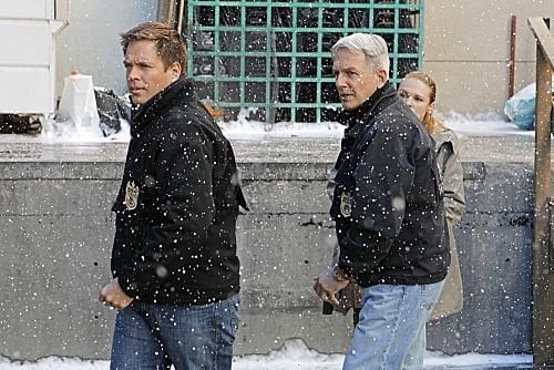 NCIS : Enquêtes spéciales : Photo Mark Harmon, Michael Weatherly