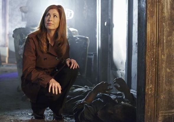 Body Of Proof : Photo Dana Delany