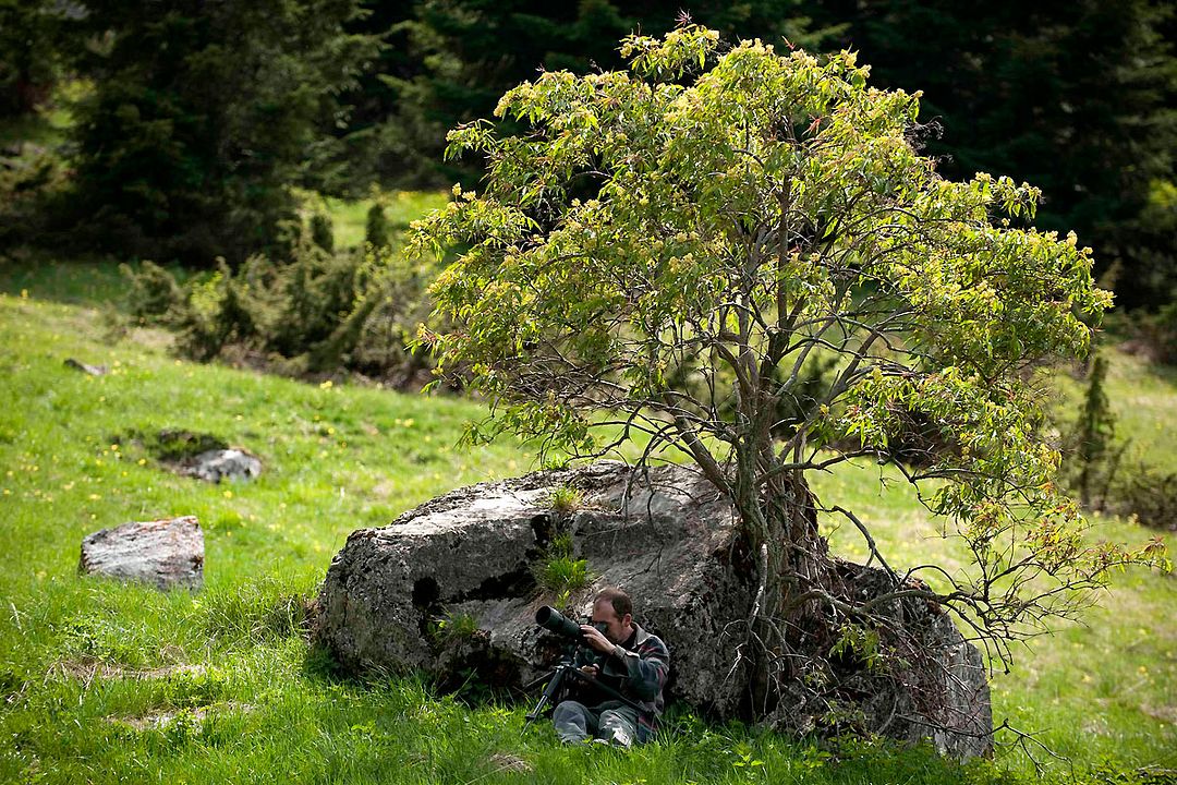 Vertige d'une rencontre : Photo