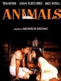 Animals : Affiche