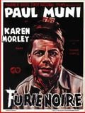 Furie noire : Affiche