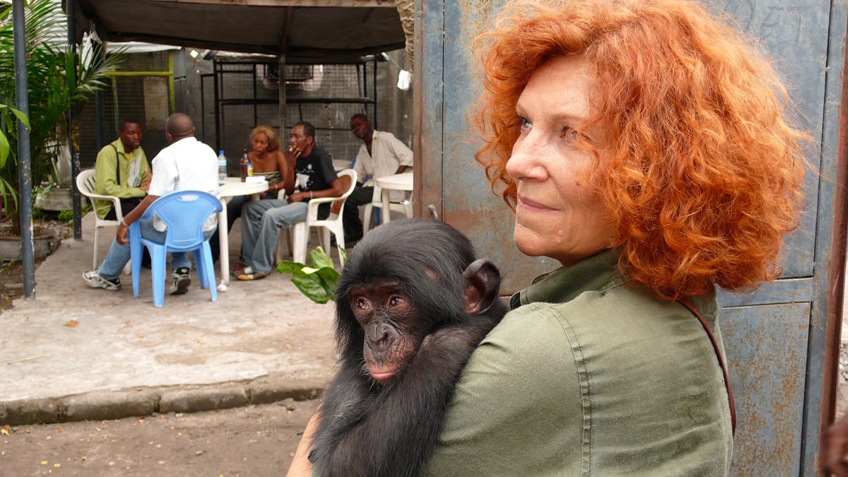 Bonobos : Photo Alain Tixier, Claudine André