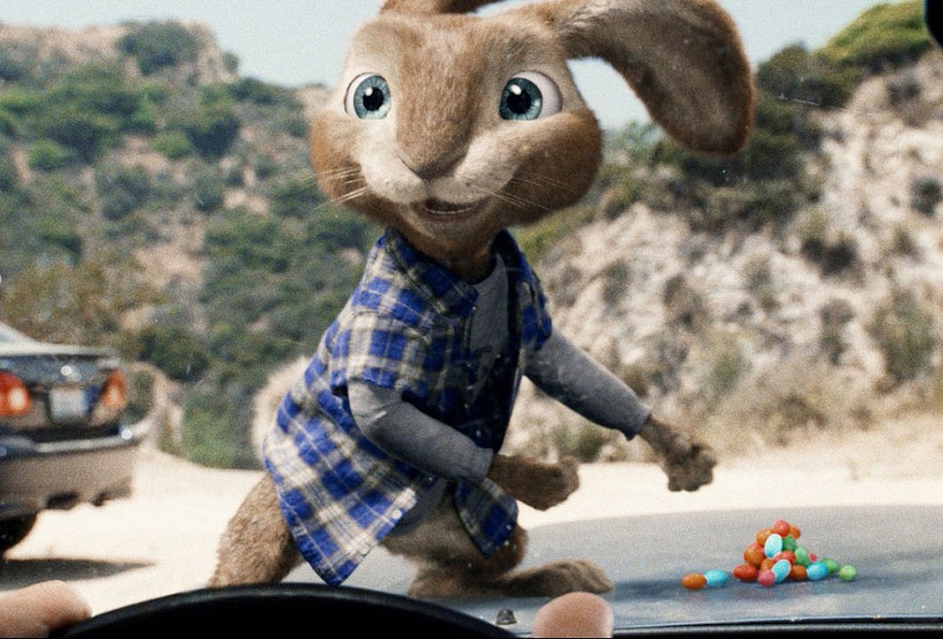 Hop : Photo Tim Hill