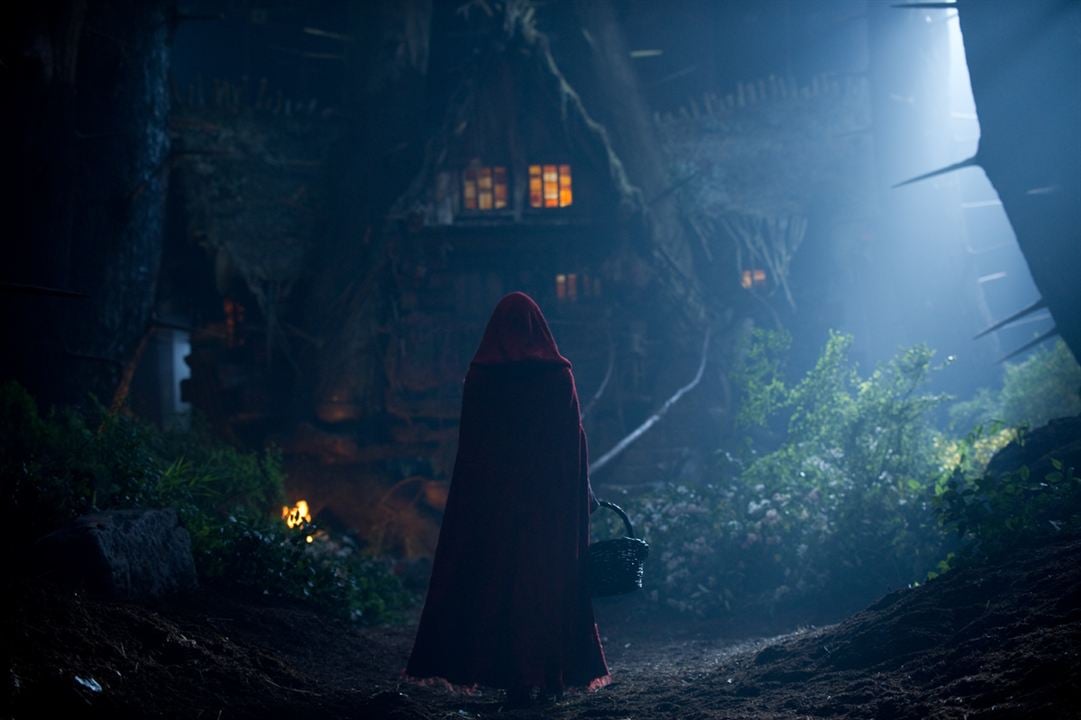 Le Chaperon Rouge : Photo Catherine Hardwicke, Amanda Seyfried