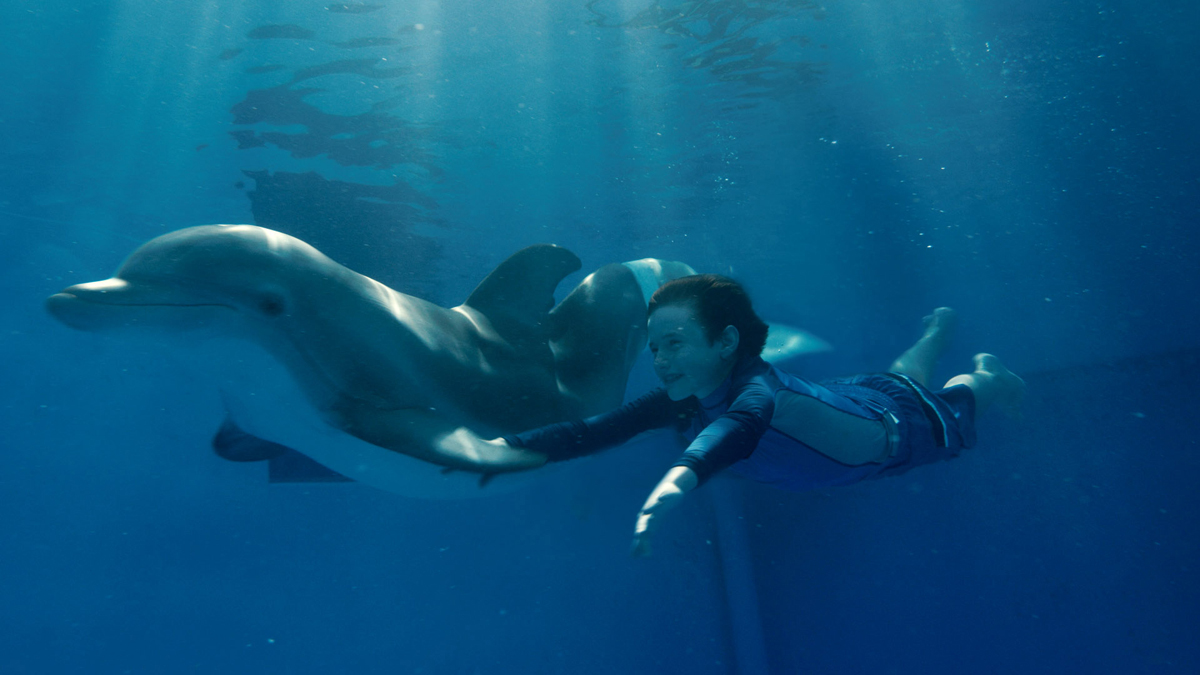 L'Incroyable histoire de Winter le dauphin : Photo Charles Martin Smith