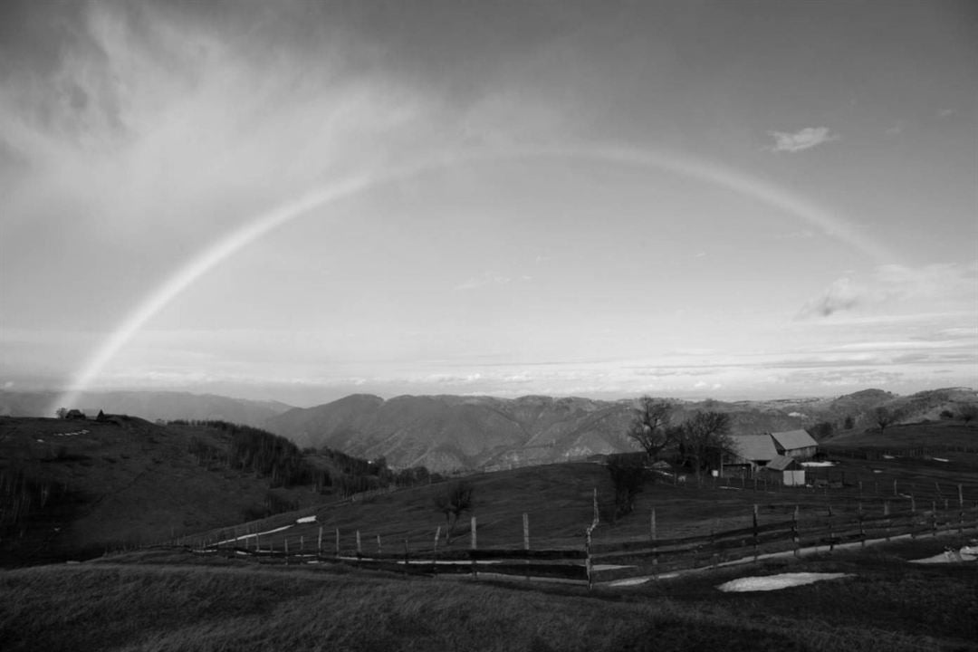 Tout près du ciel : Photo