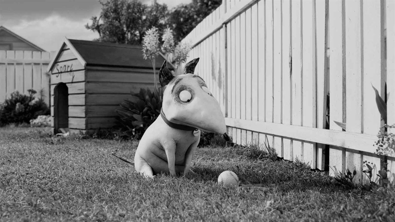 Frankenweenie : Photo