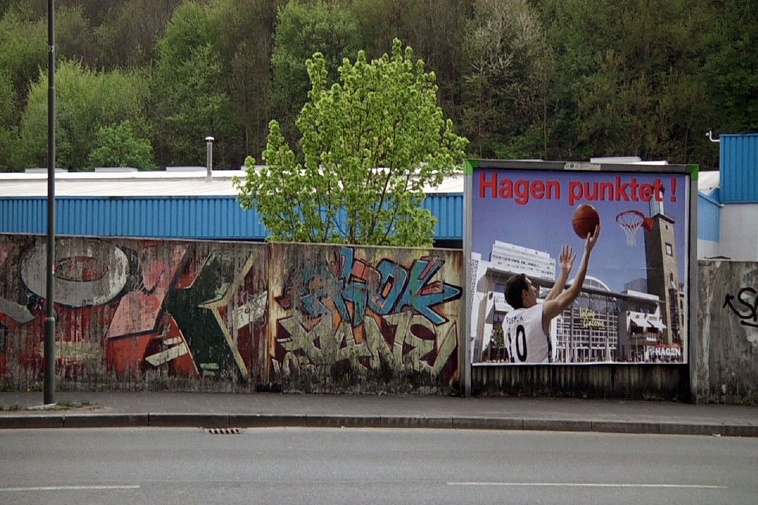 Phoenix in der Asche : Photo