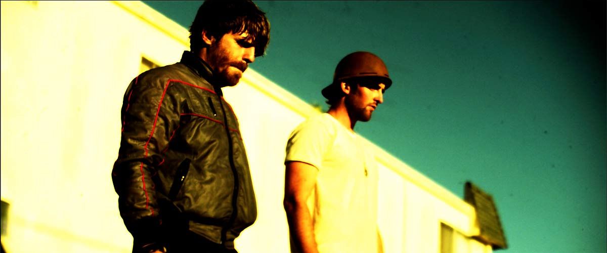 Bellflower : Photo