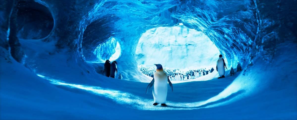 Happy Feet 2 : Photo