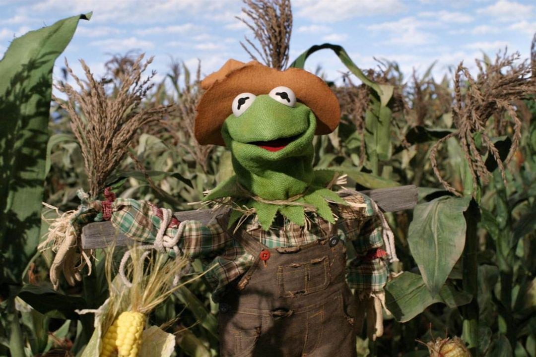 Le Magicien d'Oz des Muppets : Photo