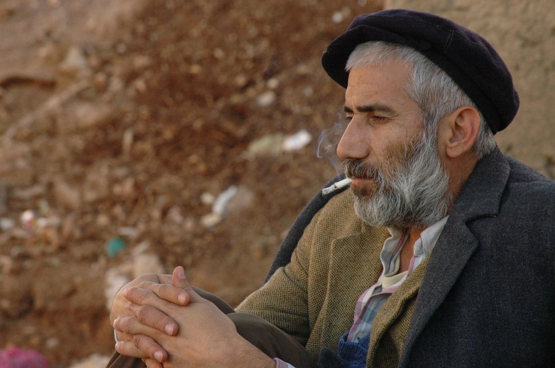 Yürüyüş (Meş) : Photo