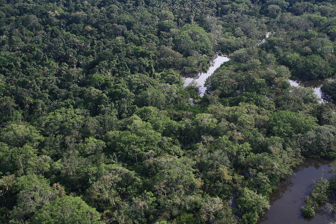 Ecuador une politique au-delà de l'utopie : Photo