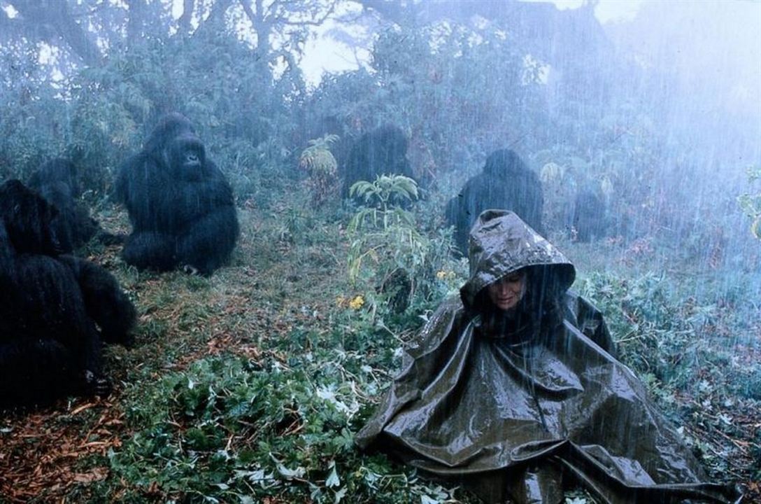 Gorilles dans la brume : Photo Sigourney Weaver