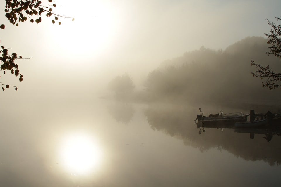 Lake Placid: The Final Chapter : Photo