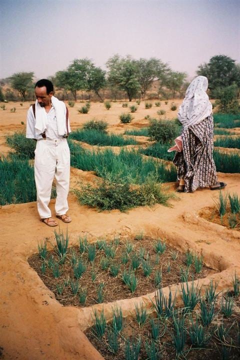 Pierre Rabhi au nom de la terre : Photo