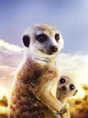 Le Clan des suricates : Affiche