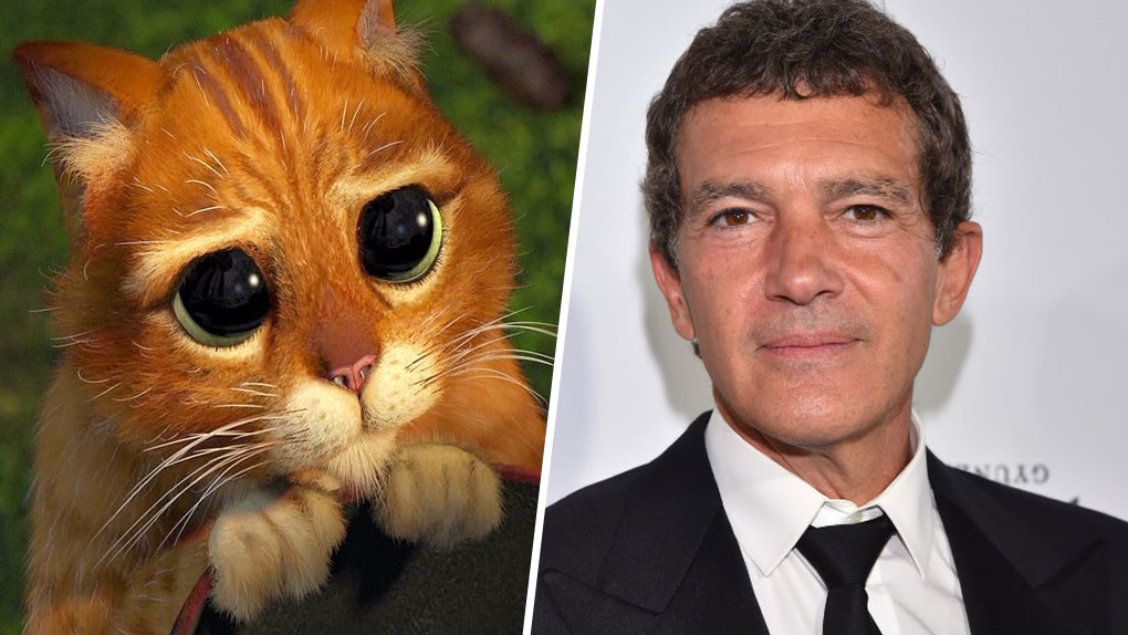 30 Stars Qui Ont Prete Leur Voix A Un Personnage Anime Le Chat Potte Shrek Est Interprete Par Antonio Banderas Allocine