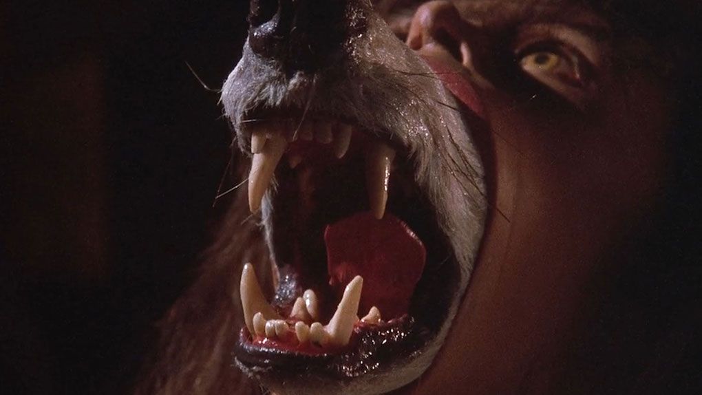 La Compagnie des loups (1984)