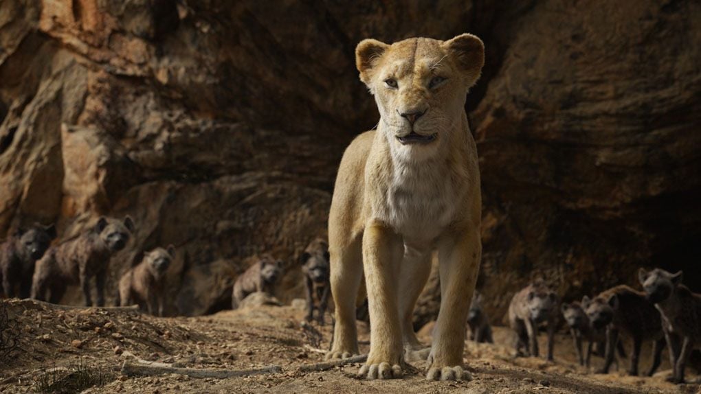 Le Roi Lion 22 différences avec le film d'animation original(02)