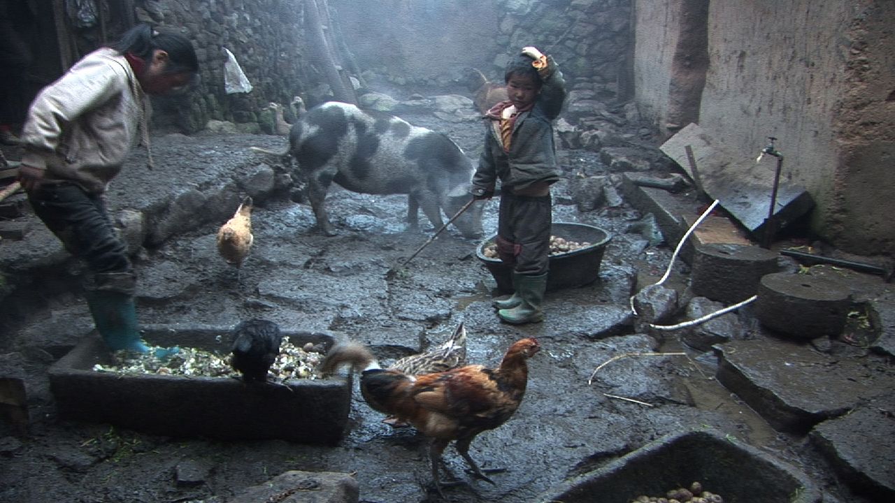 Les Trois soeurs du Yunnan : Photo