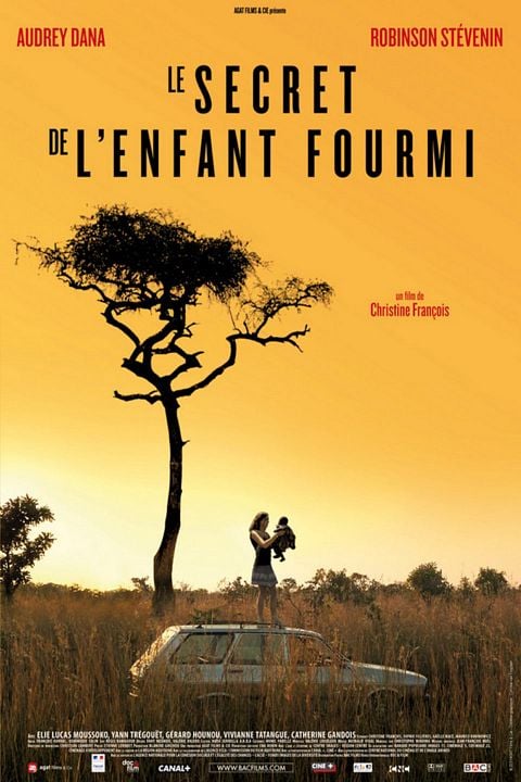 Le Secret de l'enfant fourmi : Affiche