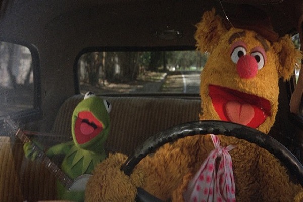 Les Muppets, ça c'est du cinéma : Photo