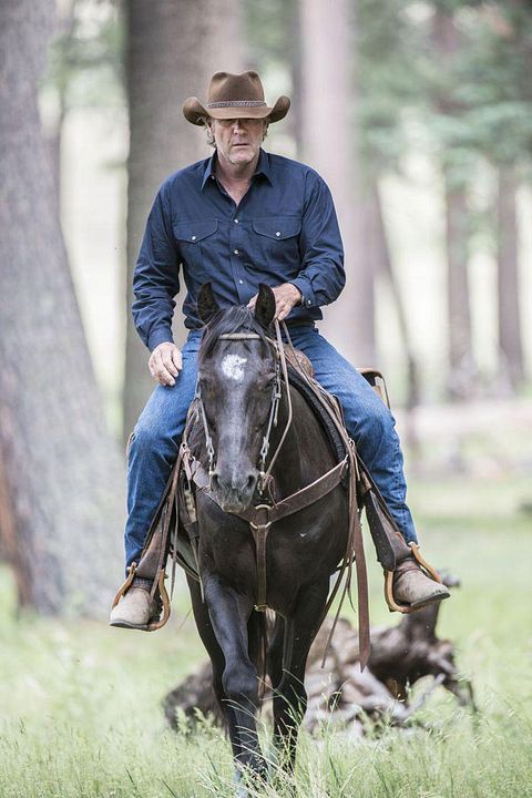 Longmire : Photo Robert Taylor (II)