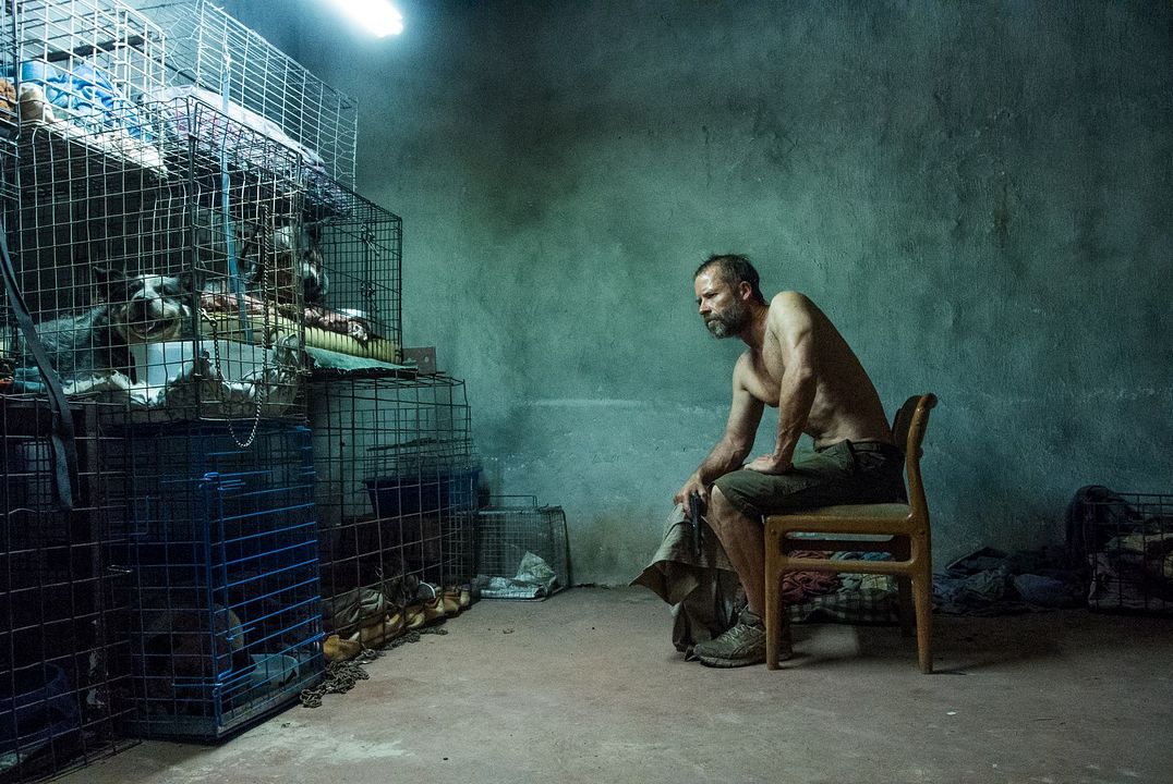 The Rover : Photo Guy Pearce