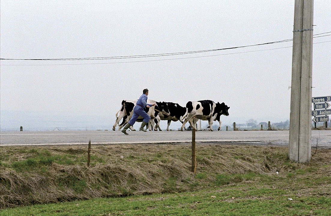 Le Grand paysage d'Alexis Droeven : Photo