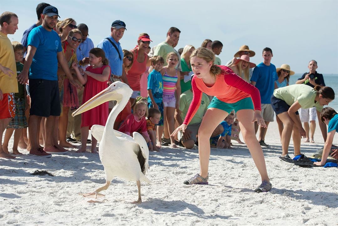 L'Incroyable Histoire de Winter le dauphin 2 : Photo Cozi Zuehlsdorff