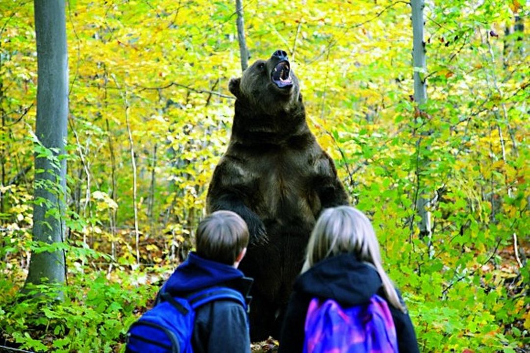 Une famille en péril : Photo