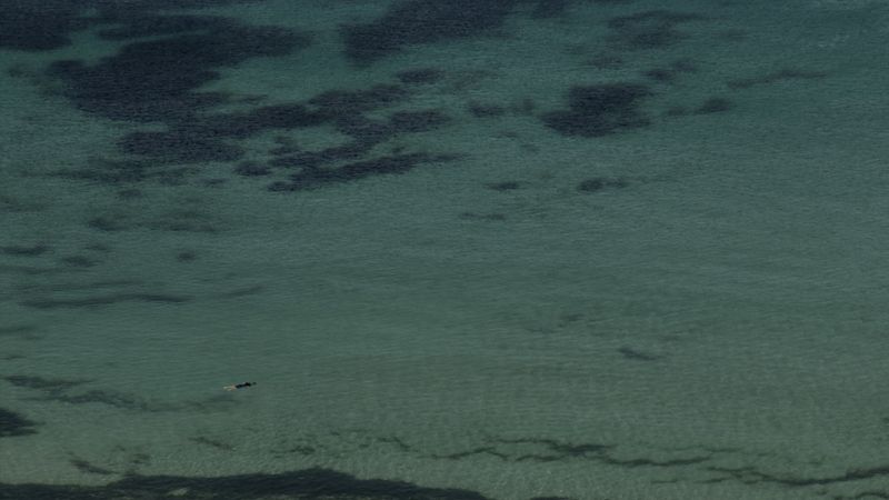 Coast of Death : Photo
