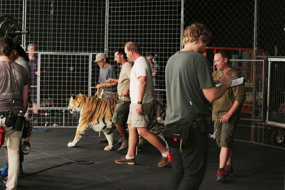 ROAR – Les Tigres des Sunderbans : Photo