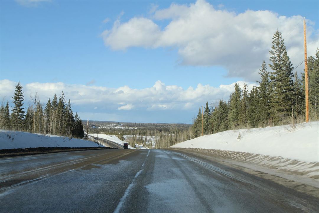 Au cœur de la forêt du Sasquatch : Photo