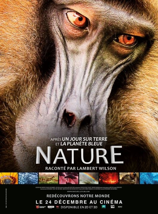 Nature : Affiche