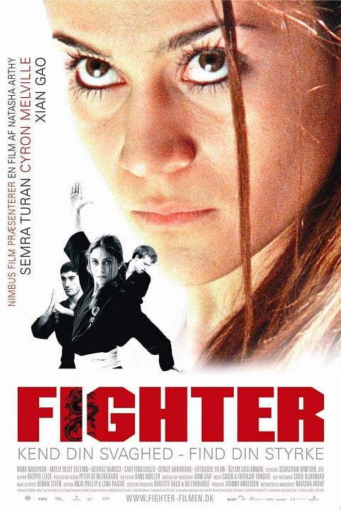 Fighter : Affiche