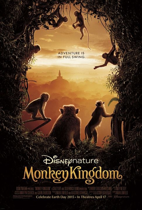 Au Royaume des Singes : Affiche