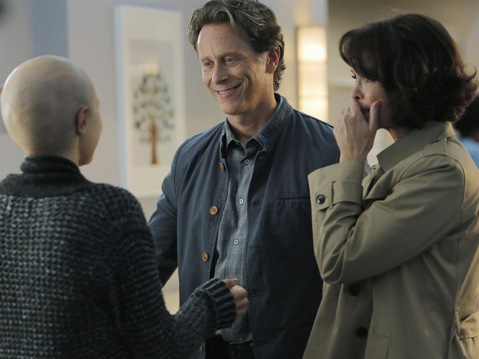 Chasing Life : Photo Mary Page Keller, Steven Weber